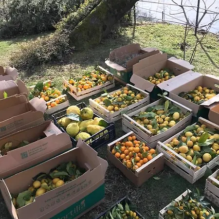 卡斯塔尼亚度假屋