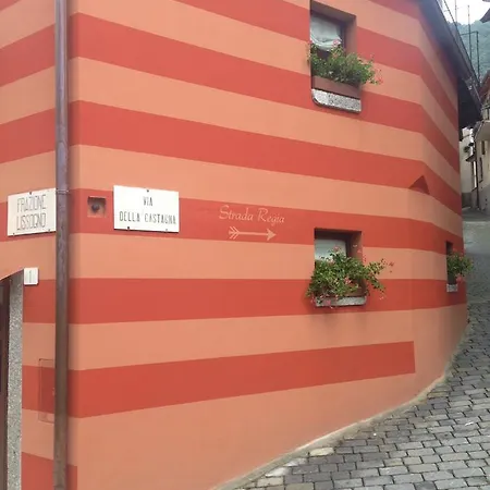 Castagna * نيسّو