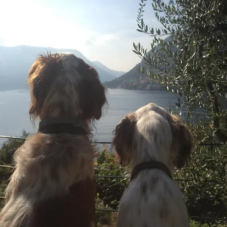 卡斯塔尼亚度假屋 * 内索