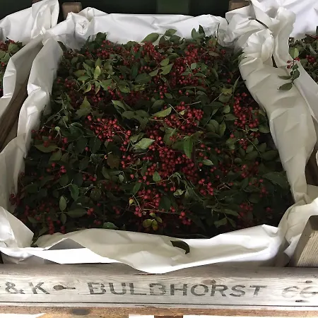 卡斯塔尼亚度假屋 内索