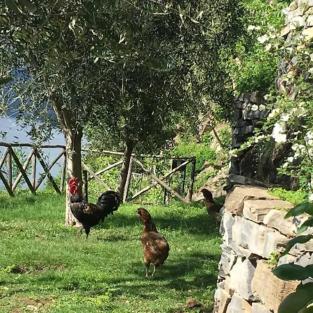 Castagna Σπίτι διακοπών Nesso