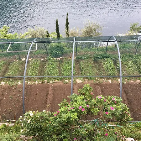 Σπίτι διακοπών Castagna *