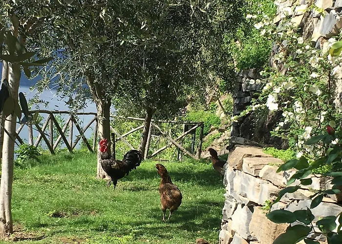 Castagna Semesterbostad Nesso