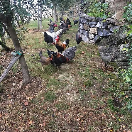 Σπίτι διακοπών Castagna Nesso